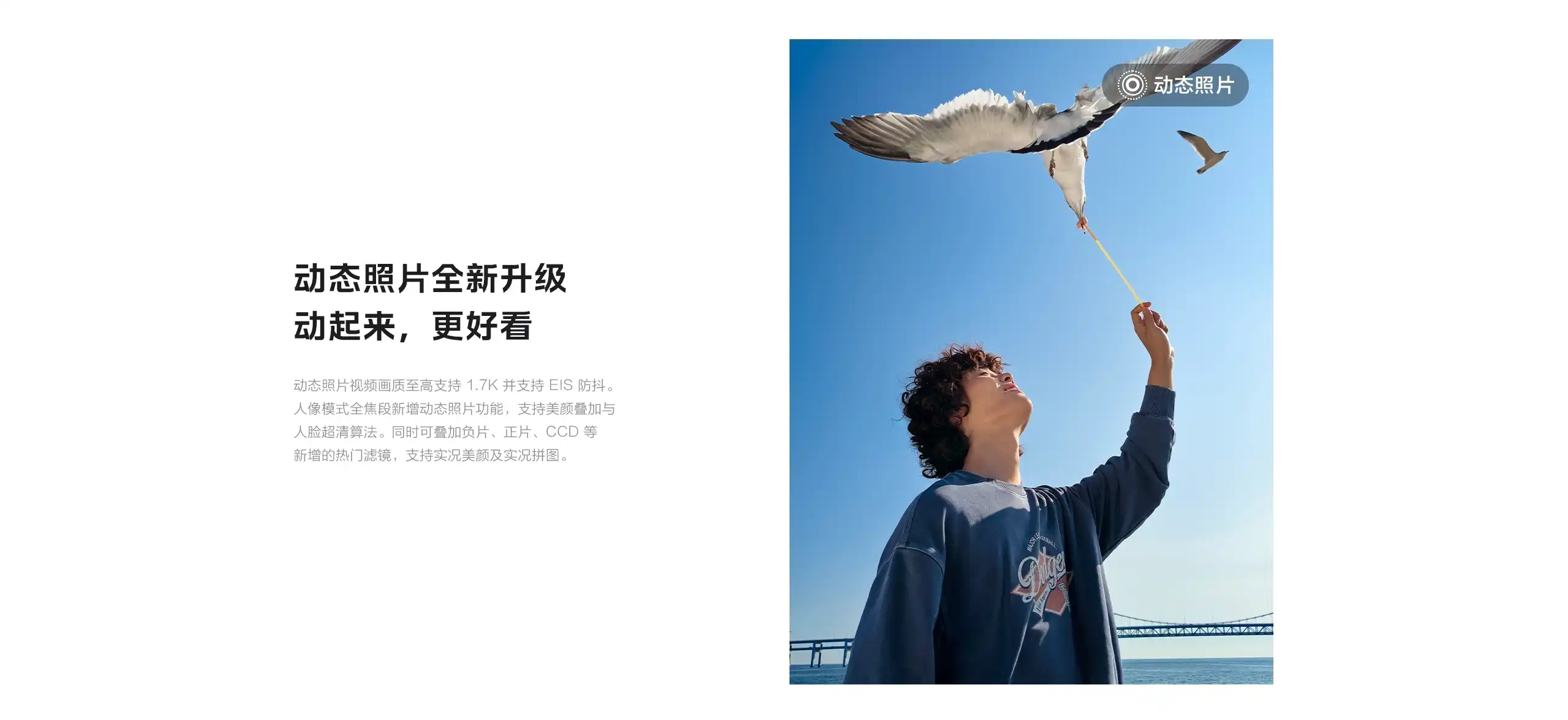 图片[22]-iQOO Neo11-西风网络安全