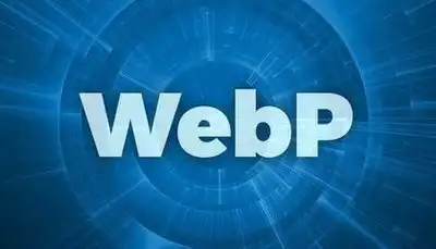 普通图片自动转webp图插件-西风网络安全