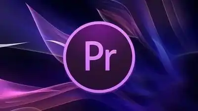 Adobe Premiere Pro 2024-西风网络安全