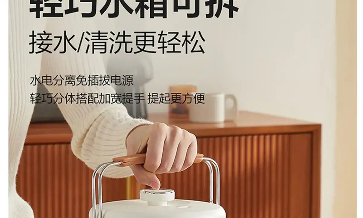 图片[9]-网易 电热水壶-西风网络安全