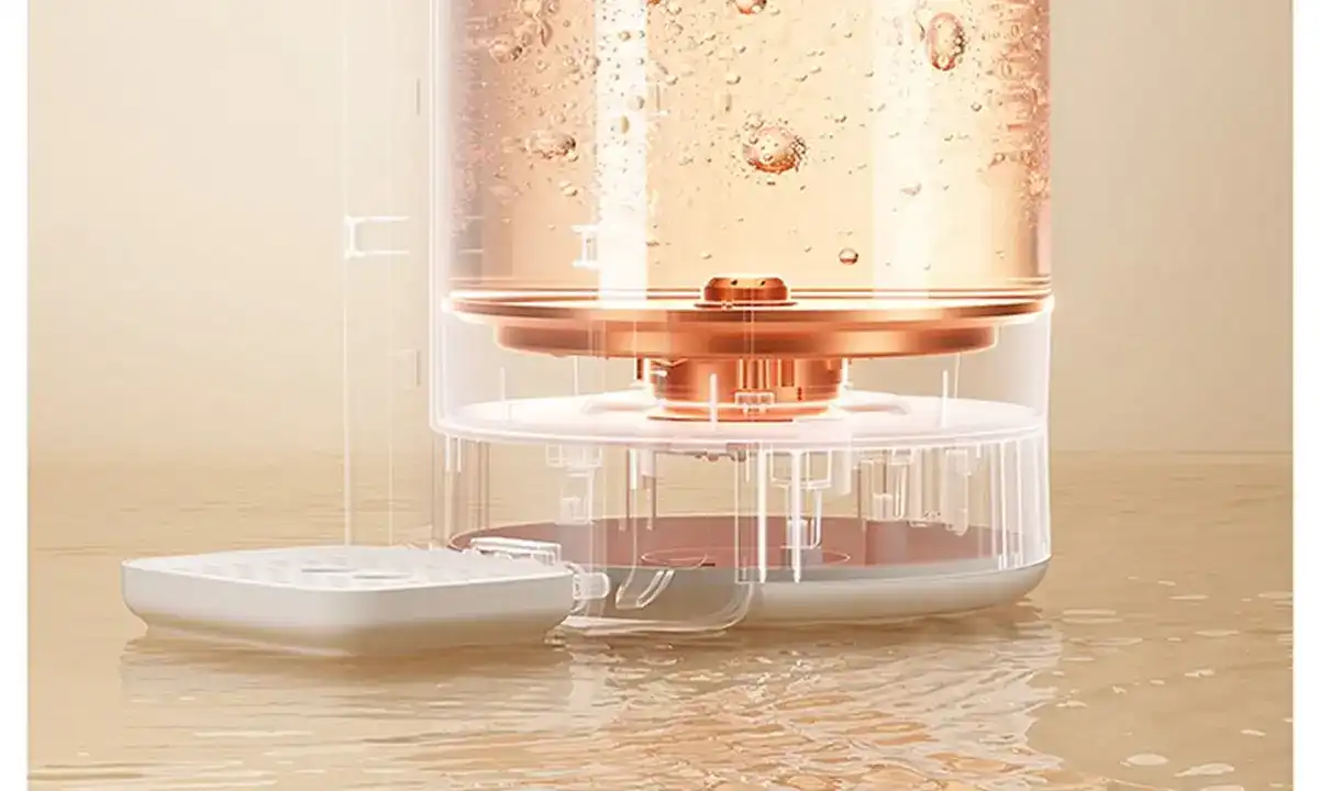 图片[20]-网易 电热水壶-西风网络安全