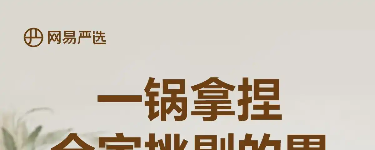 图片[1]-网易 分体式电热火锅-西风网络安全