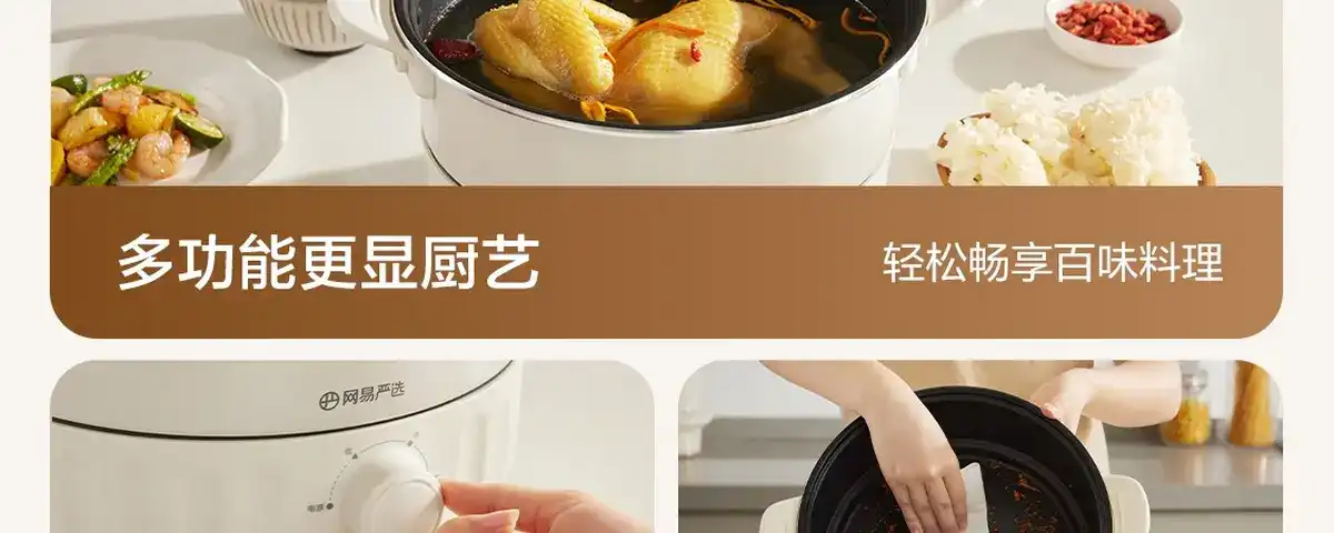 图片[9]-网易 分体式电热火锅-西风网络安全