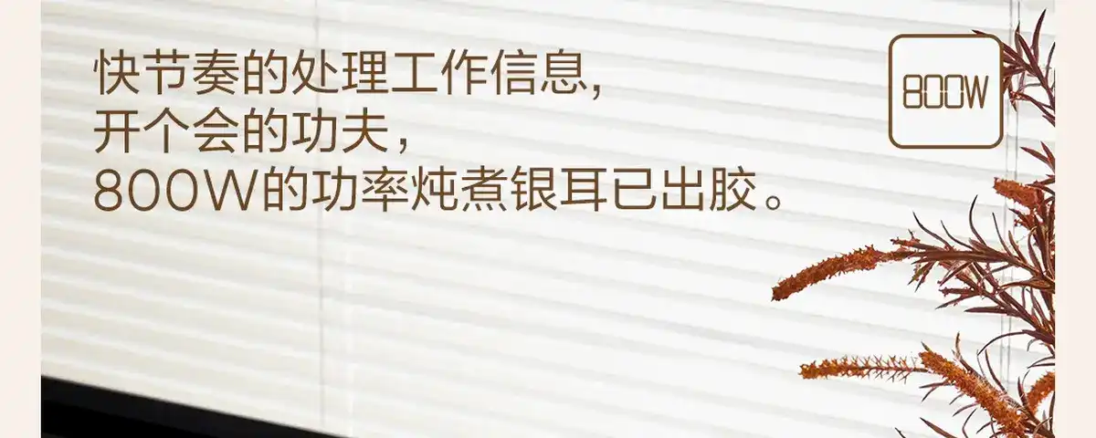 图片[35]-网易 全玻璃控温花茶壶-西风网络安全