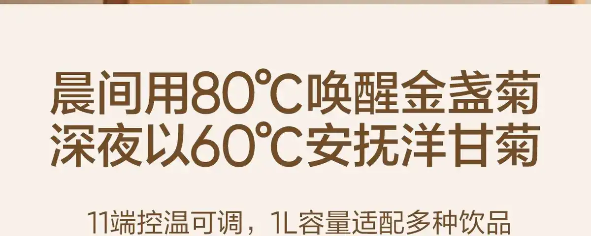 图片[52]-网易 全玻璃控温花茶壶-西风网络安全