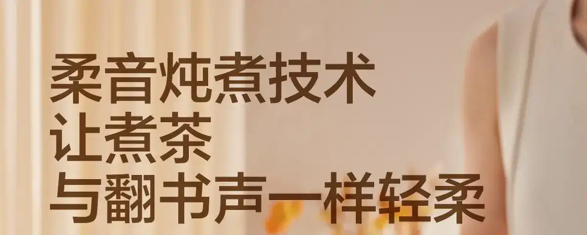 图片[59]-网易 全玻璃控温花茶壶-西风网络安全