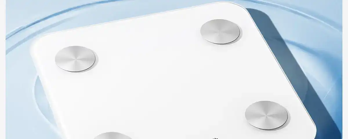 图片[4]-网易 四电极智能体脂秤-西风网络安全