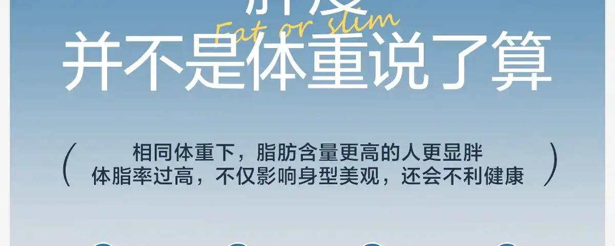 图片[11]-网易 四电极智能体脂秤-西风网络安全