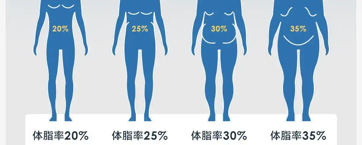 图片[13]-网易 四电极智能体脂秤-西风网络安全