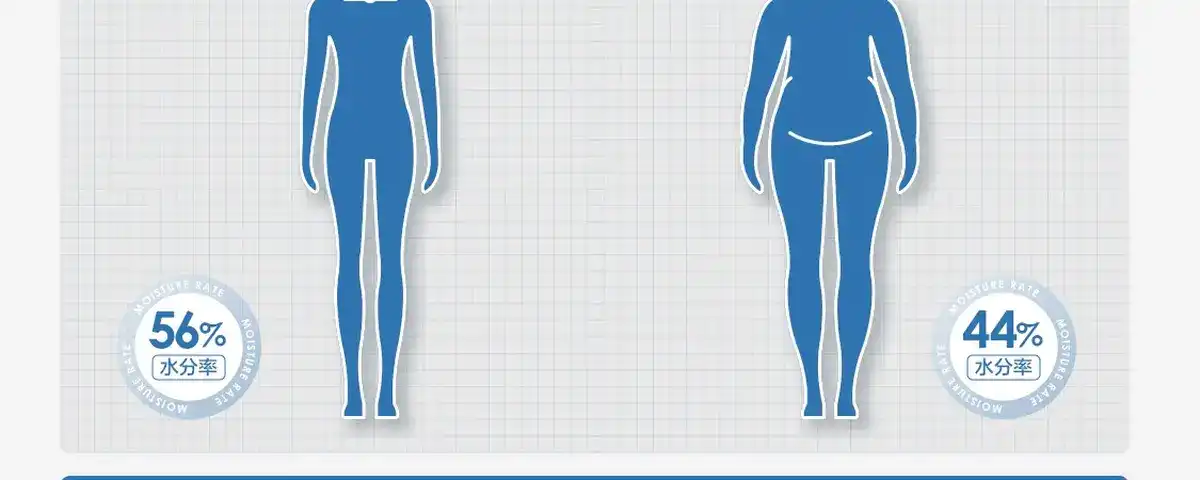 图片[16]-网易 四电极智能体脂秤-西风网络安全