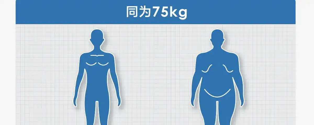 图片[17]-网易 四电极智能体脂秤-西风网络安全