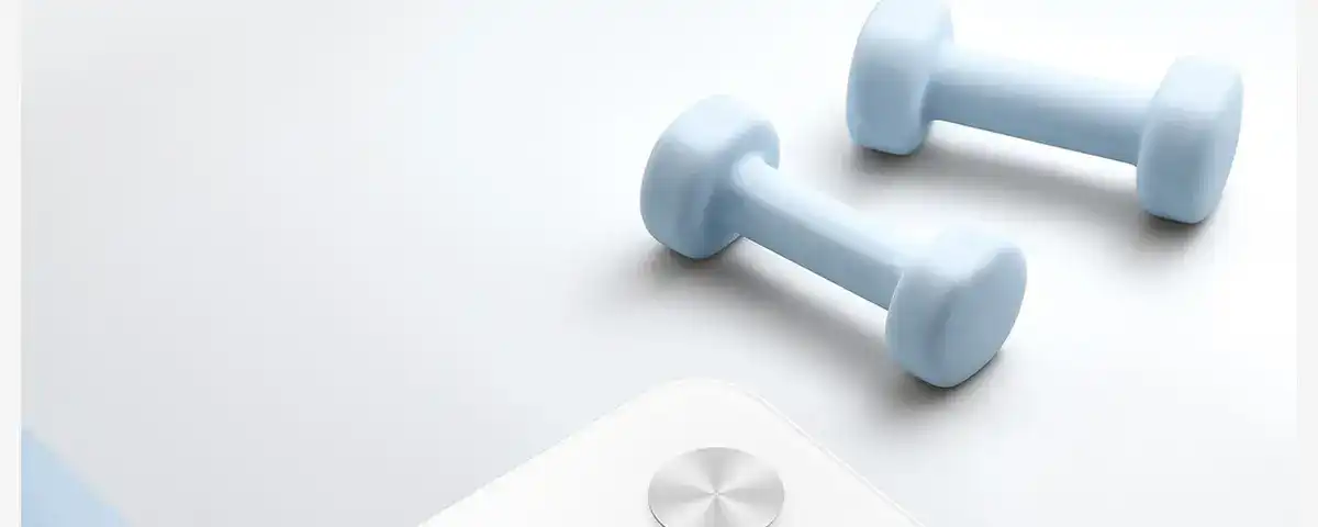 图片[19]-网易 四电极智能体脂秤-西风网络安全