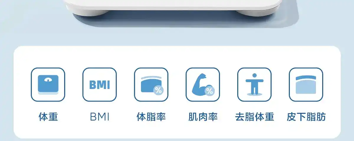 图片[27]-网易 四电极智能体脂秤-西风网络安全