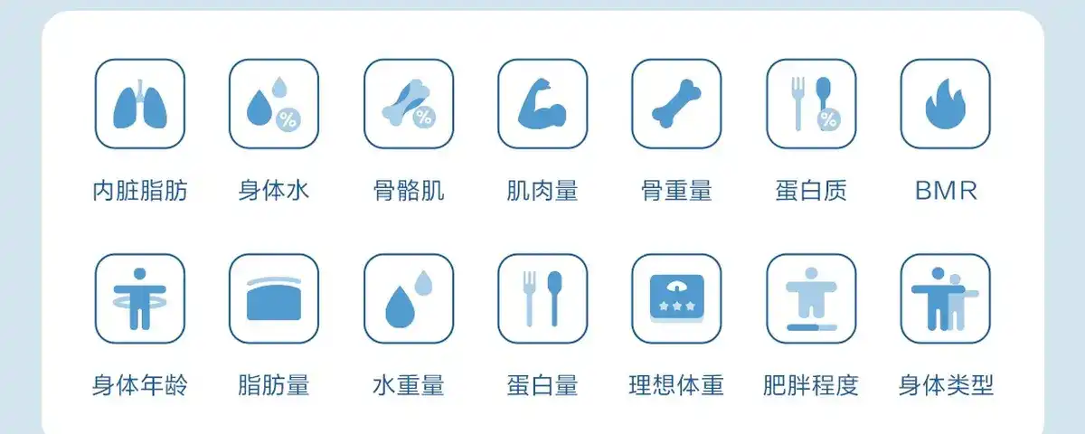 图片[28]-网易 四电极智能体脂秤-西风网络安全