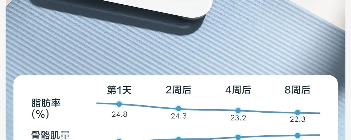 图片[44]-网易 四电极智能体脂秤-西风网络安全