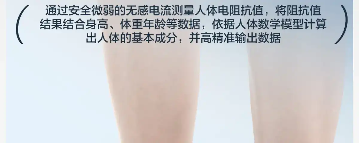 图片[67]-网易 四电极智能体脂秤-西风网络安全