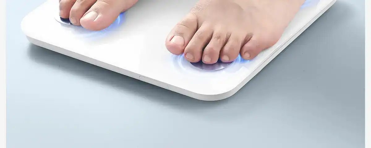 图片[70]-网易 四电极智能体脂秤-西风网络安全