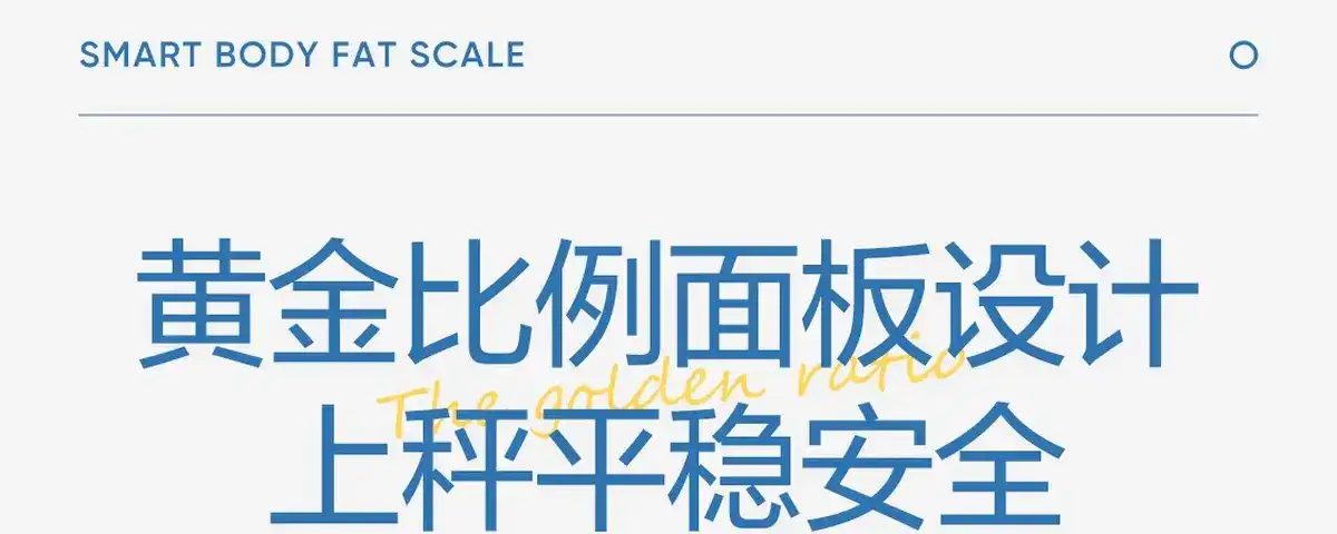 图片[72]-网易 四电极智能体脂秤-西风网络安全
