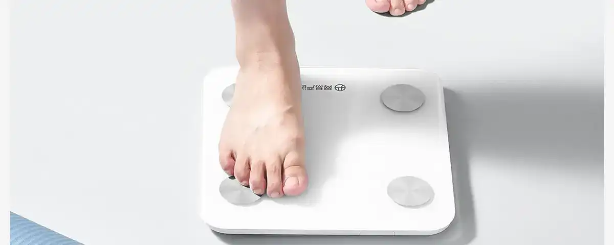 图片[75]-网易 四电极智能体脂秤-西风网络安全
