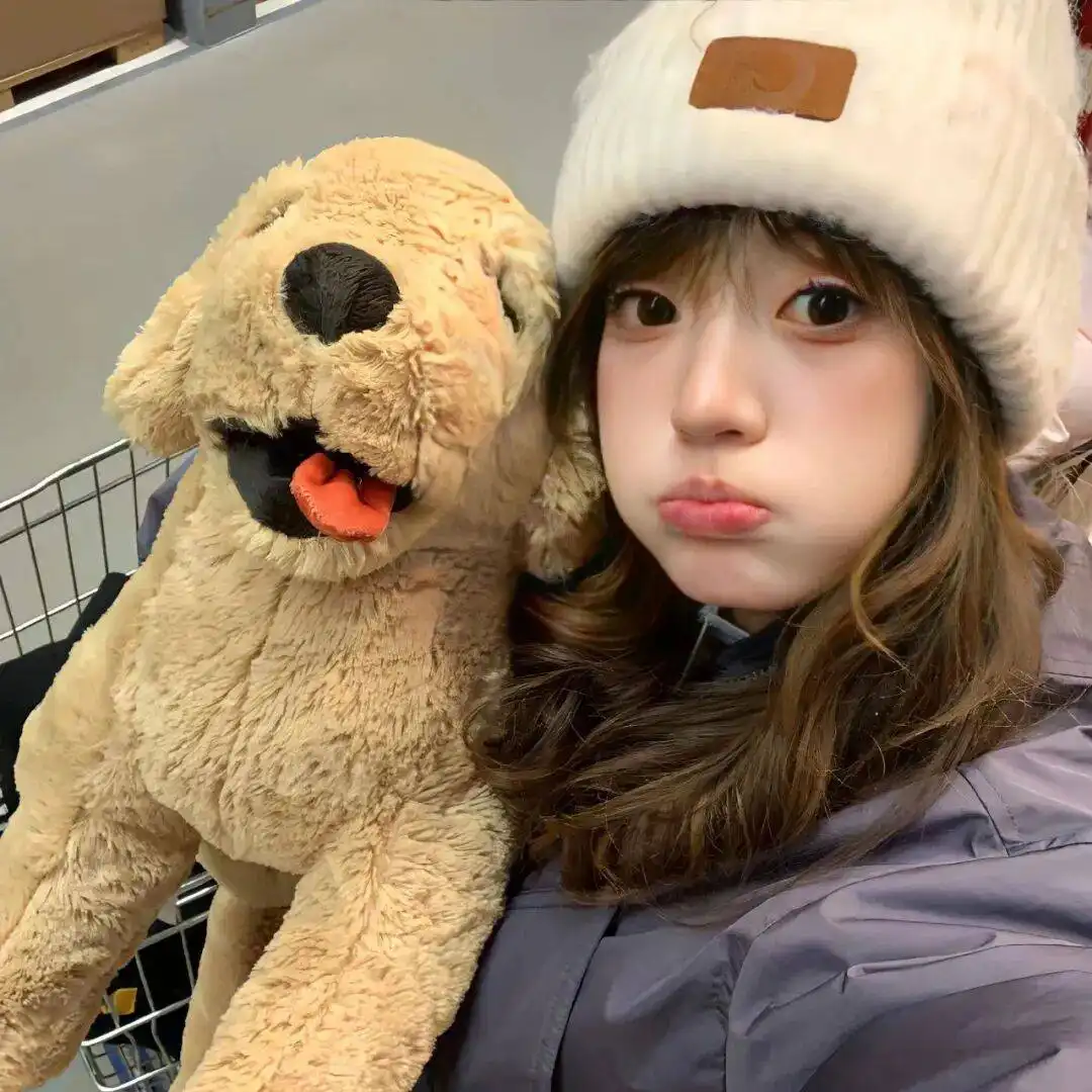 红尘过往的头像-西风网络安全