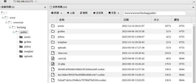 Kali Linux安装中国蚁剑-西风网络安全