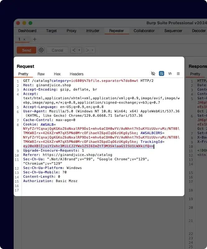 Burp Suite Image