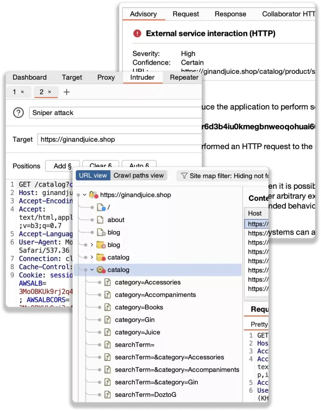 Burp Suite Image