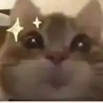 腾渊论坛